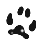 bark24