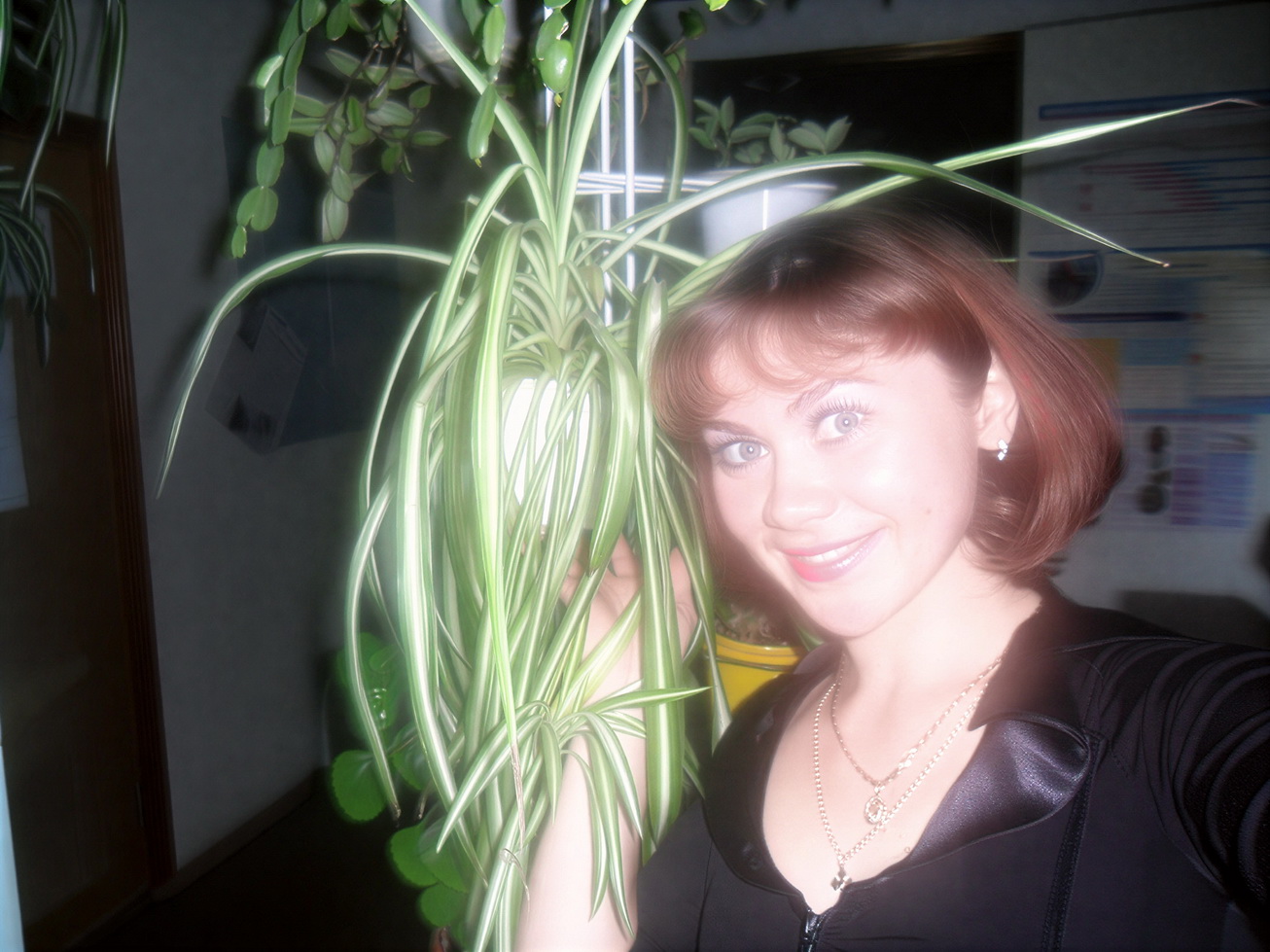 ����������