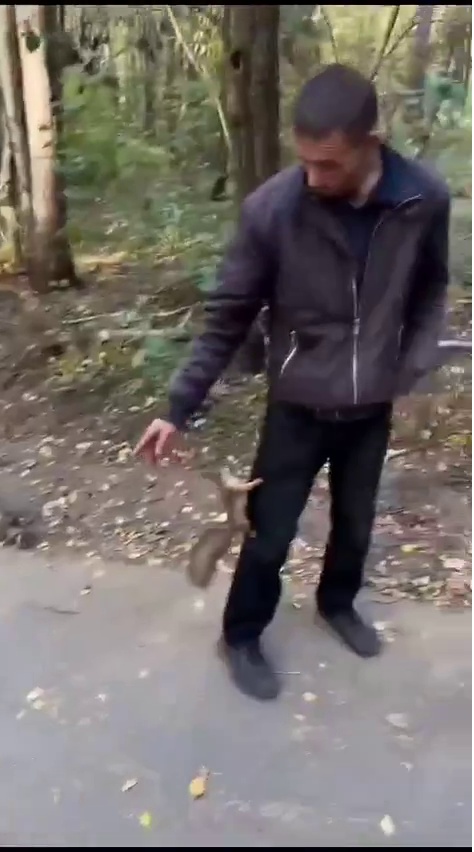 ����������