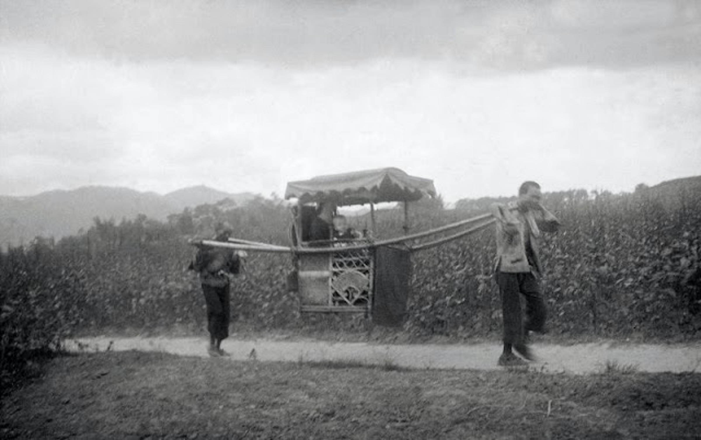 ����������