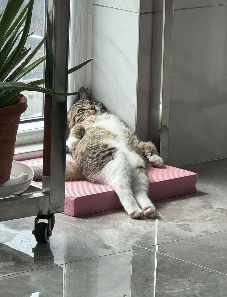 ����������