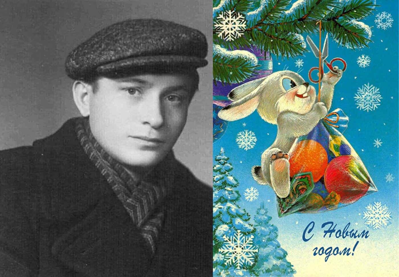 ����������