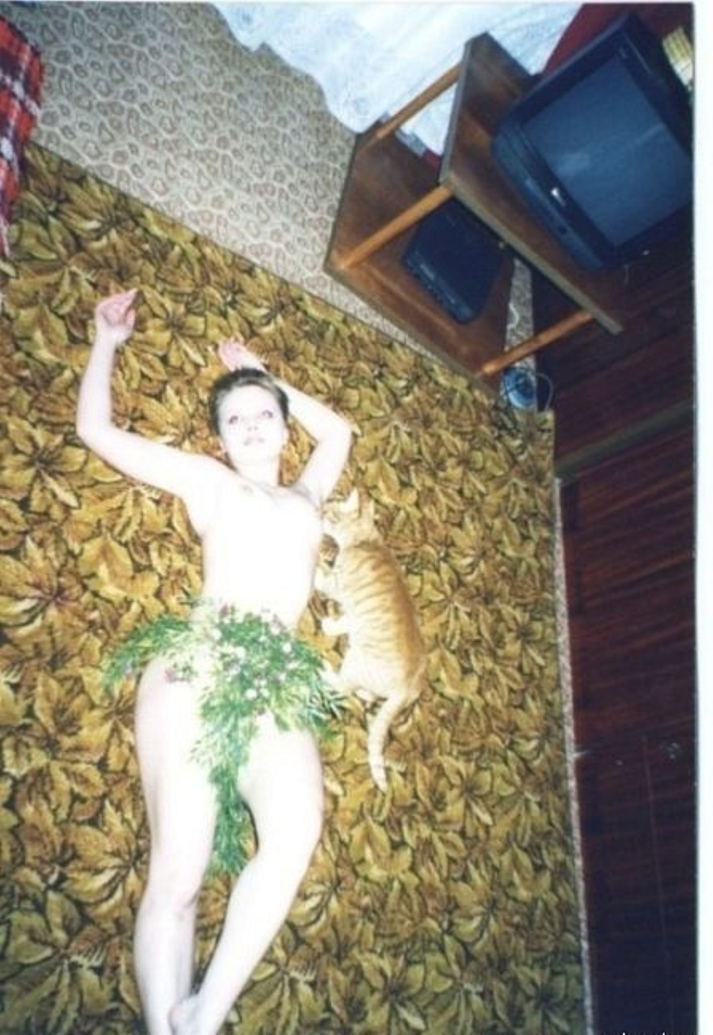 ���������