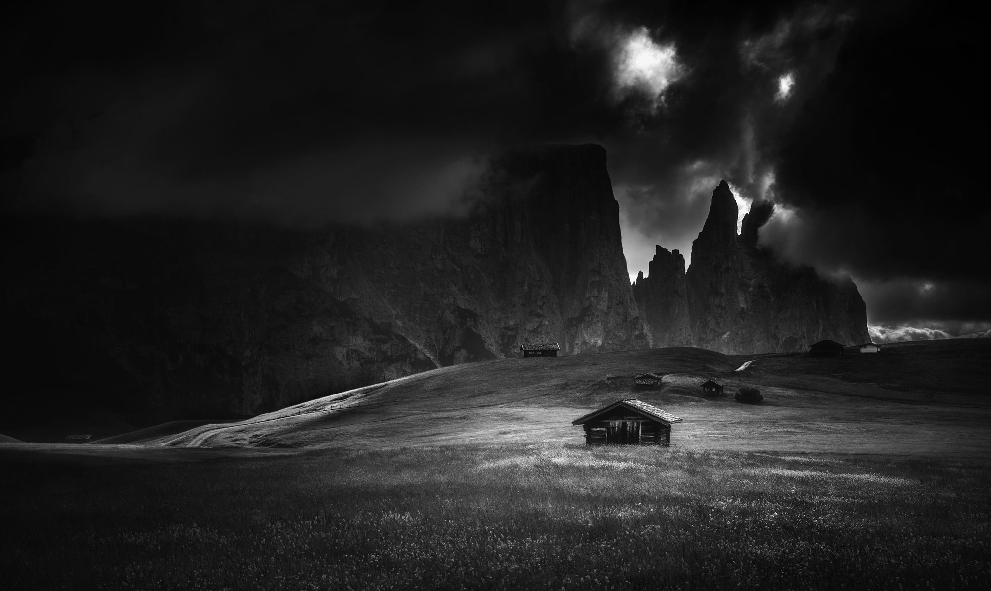 ����������