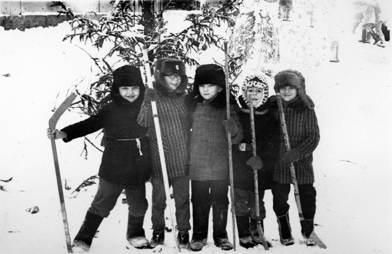 ���������