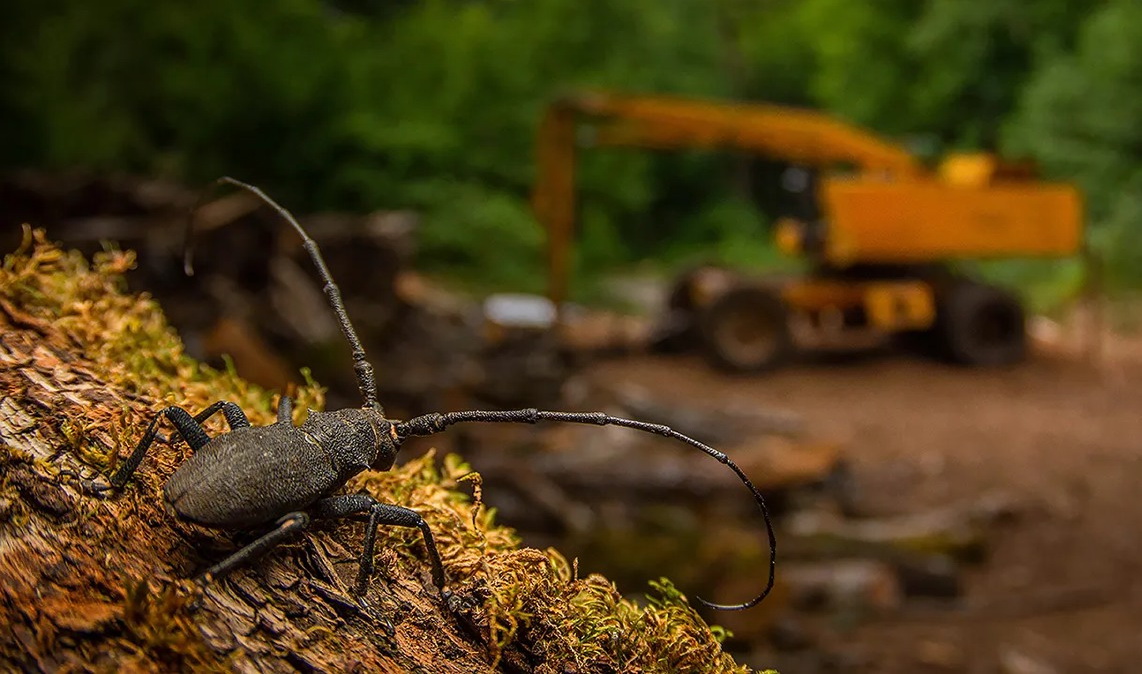 ����������