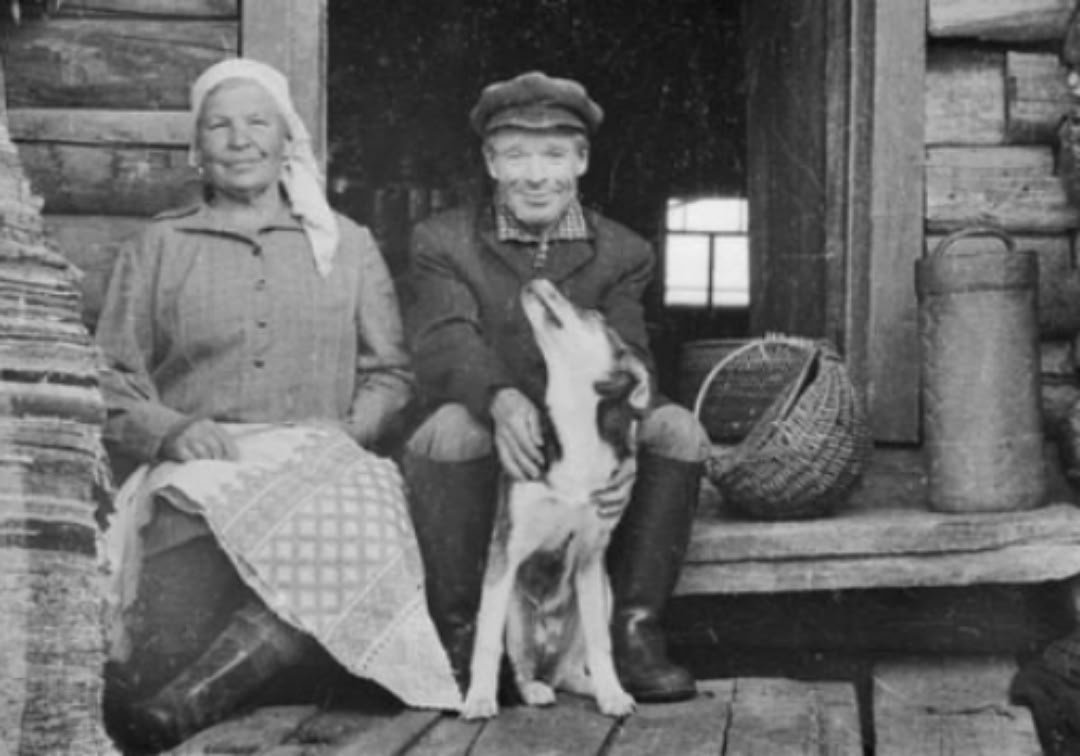 ����������