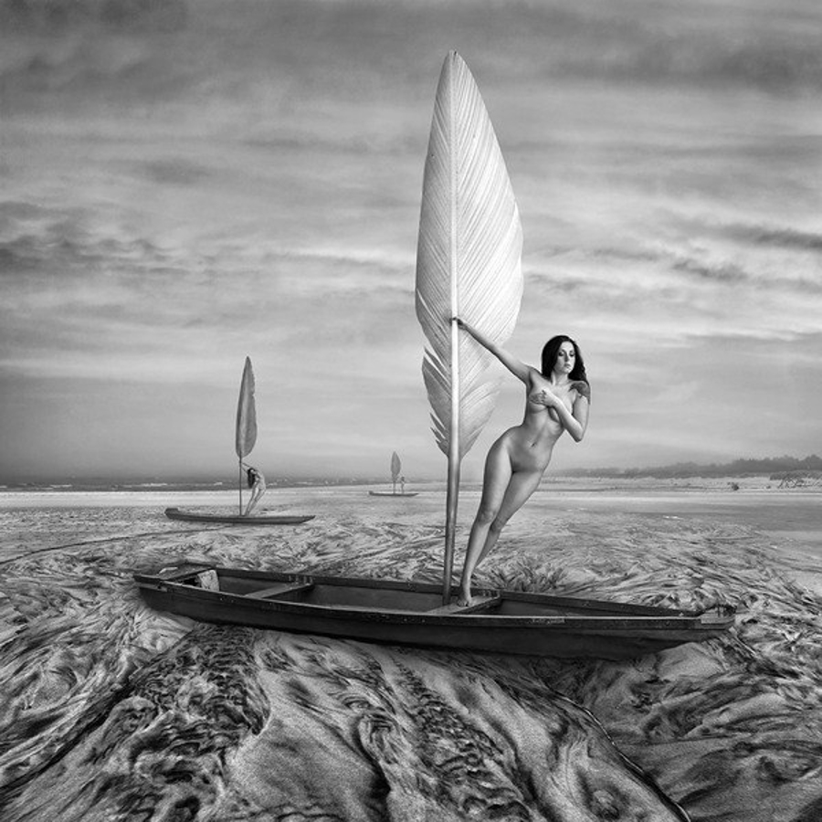 ����������