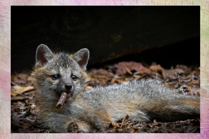 ����������