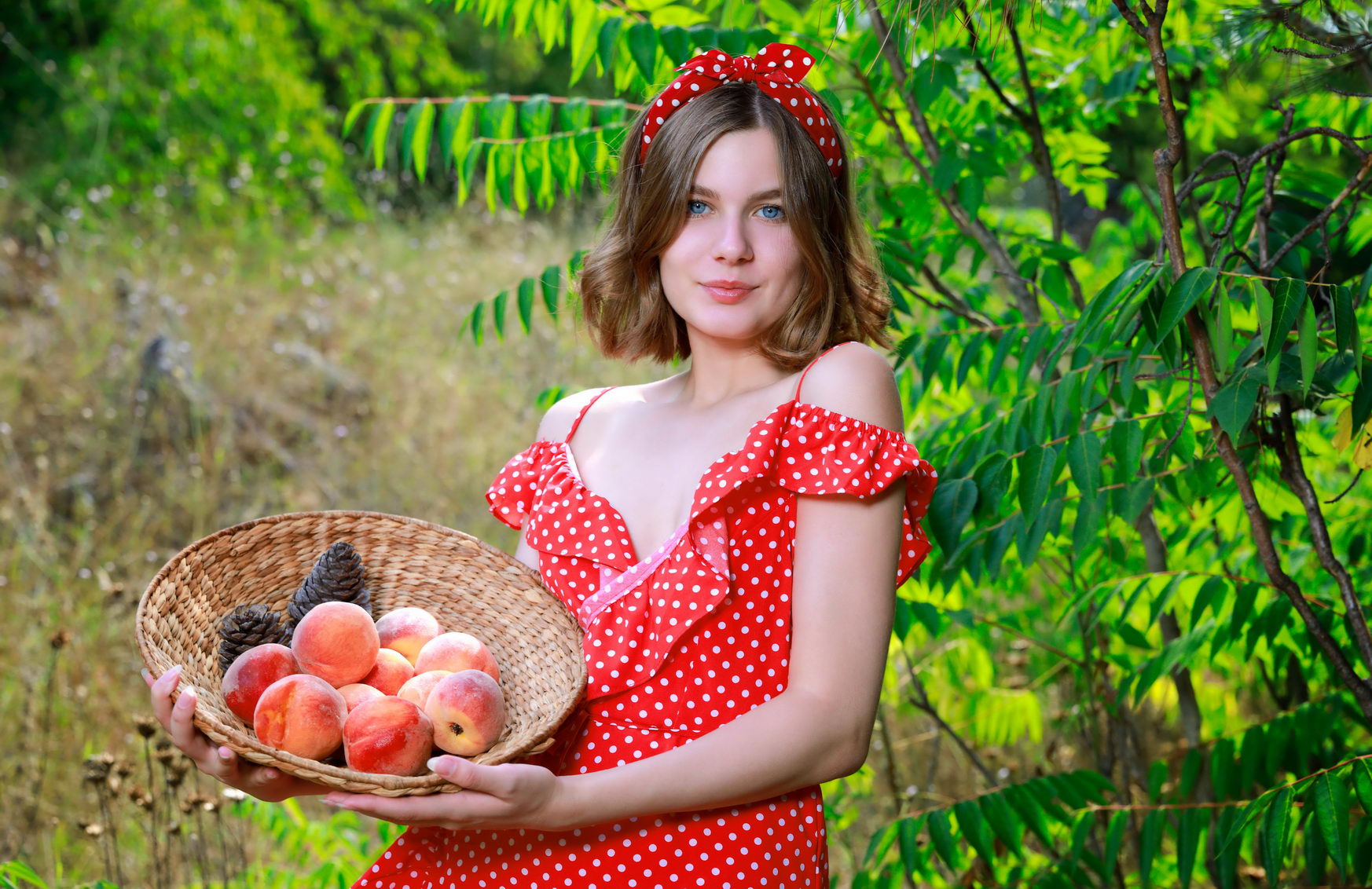 ����������