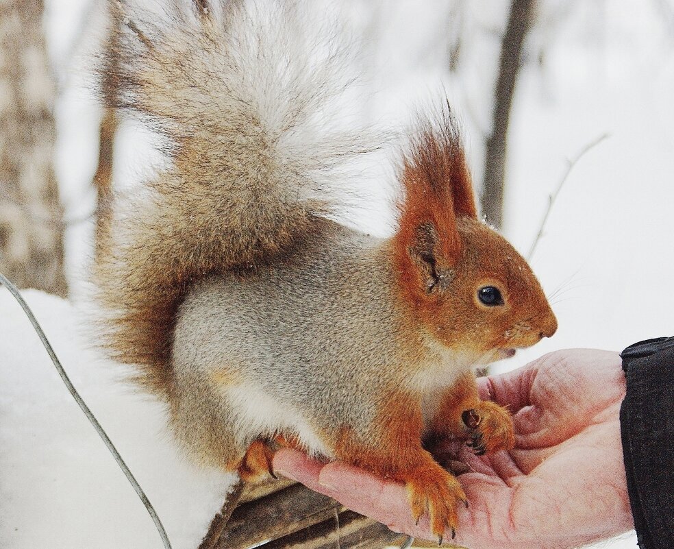 ����������