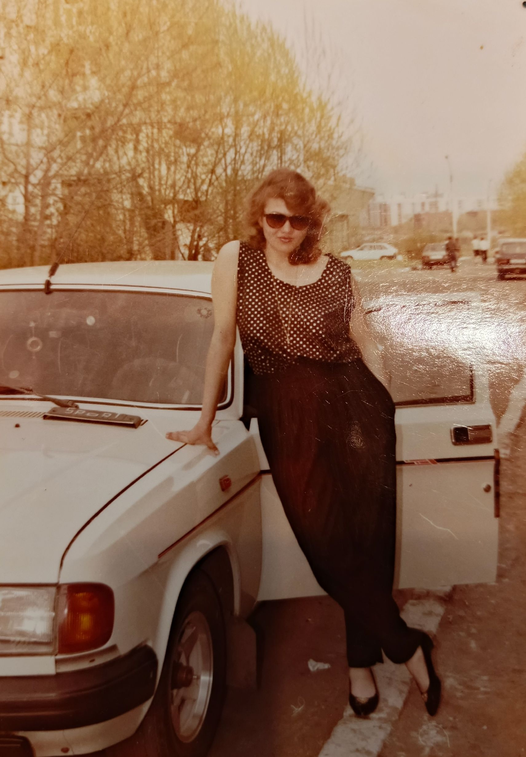 ����������