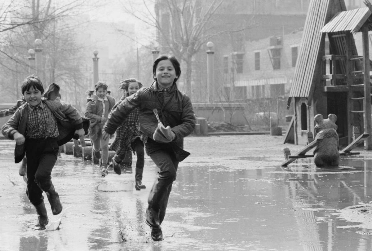 ����������